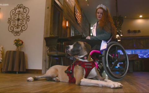 Coeur d'Alene woman to represent Idaho in Ms. Wheelchair America pageant